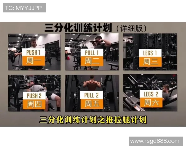 健身计划全攻略 从新手到高手的全面训练与饮食指南