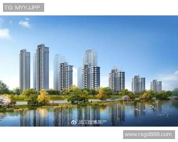 武汉三镇协同发展新蓝图推动城市高质量一体化建设与未来发展方向探索